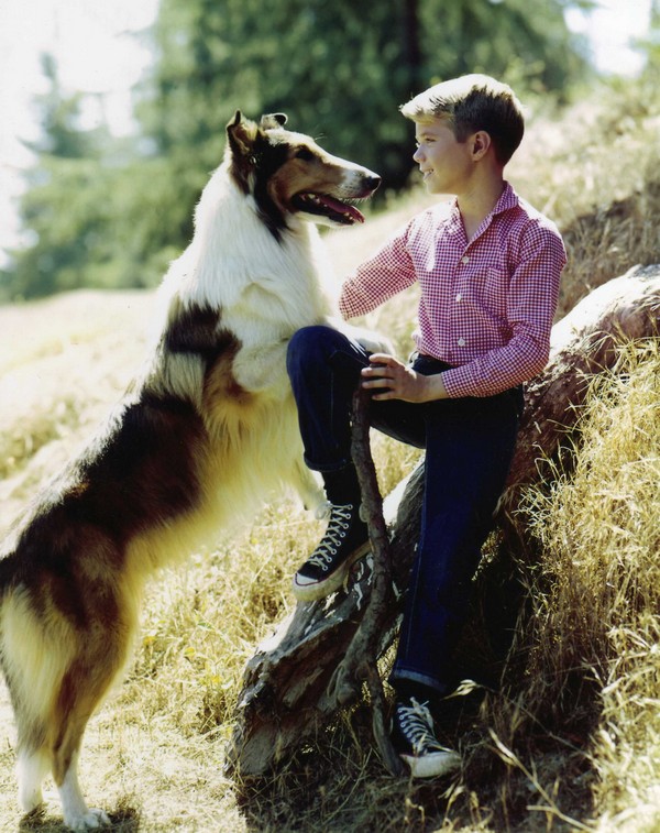 How old was Lassie when he died?
